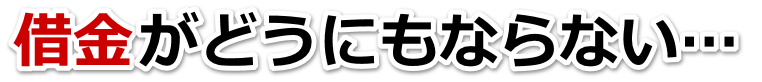̎؋ǂ΂́c呺sŕٌmi@mɖők